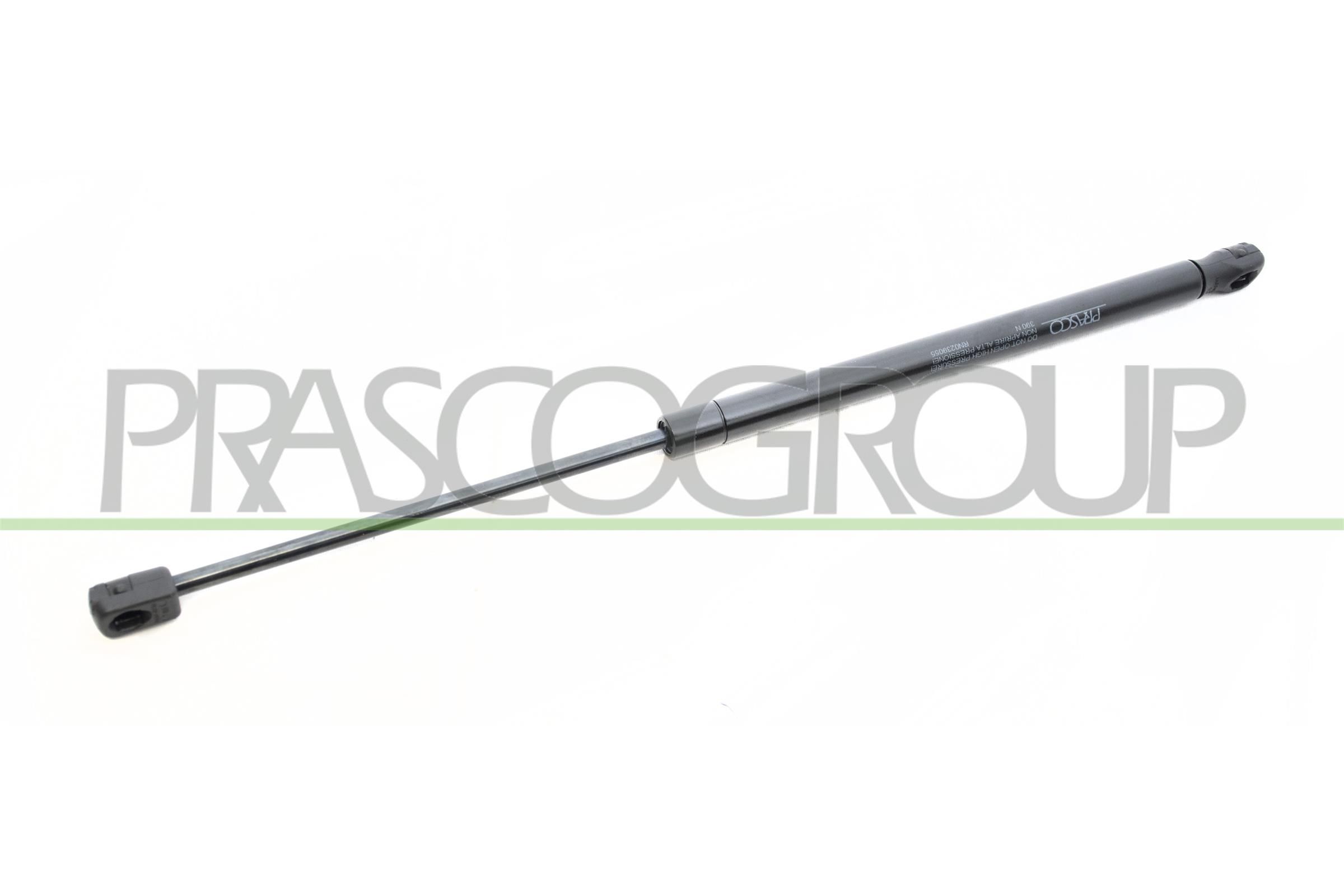 Gasfeder, Koffer-/Laderaum