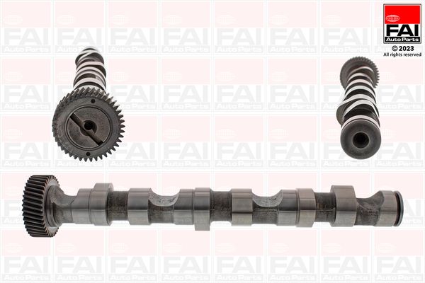 FAI AutoParts C246 - Nockenwelle