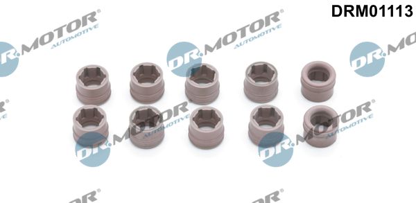 Dr.Motor Automotive DRM01113 - Reparatursatz, Klimaanlage