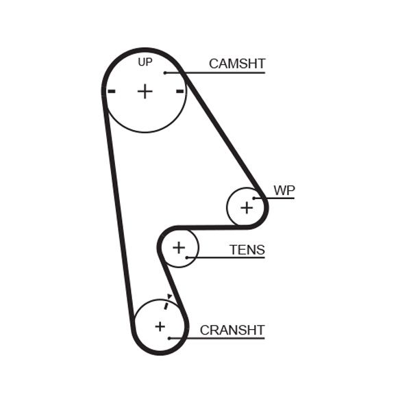 Timing Belt 5409XS