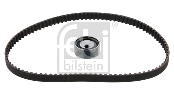 Timing Belt Kit 21725