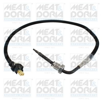 Sensor, exhaust gas temperature 12602