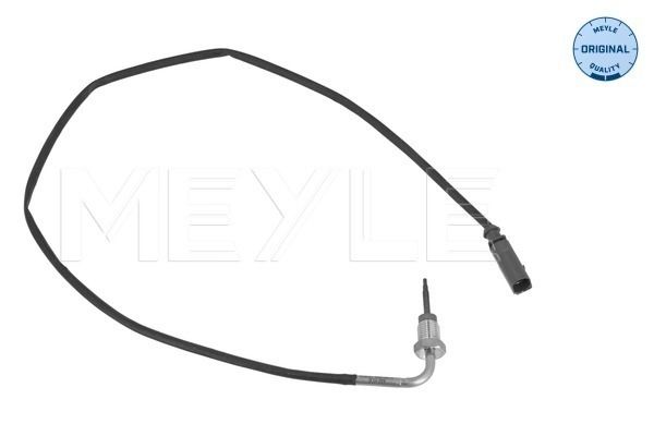 Sensor, Abgastemperatur
