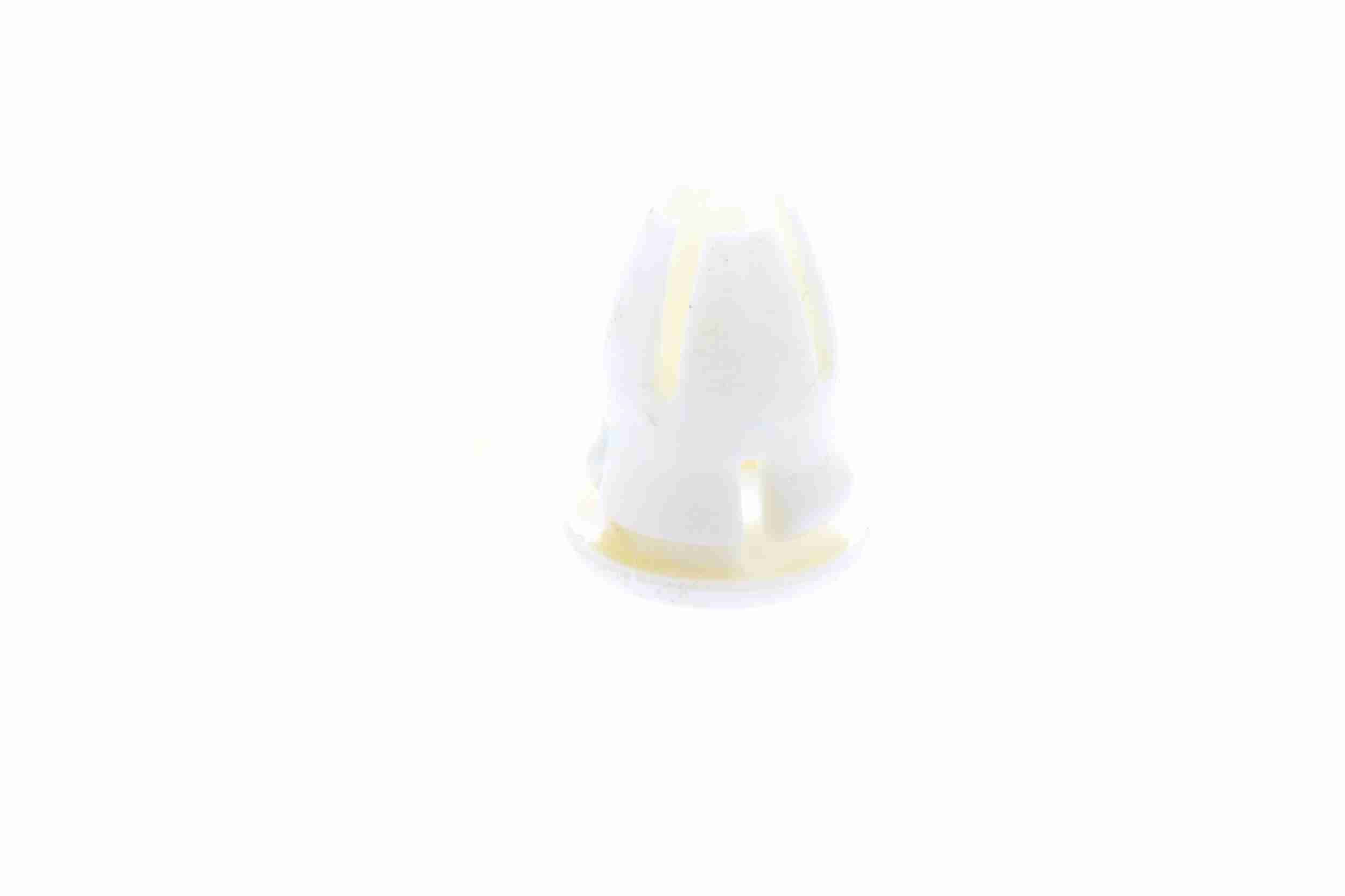 Clip, Zier-/Schutzleiste