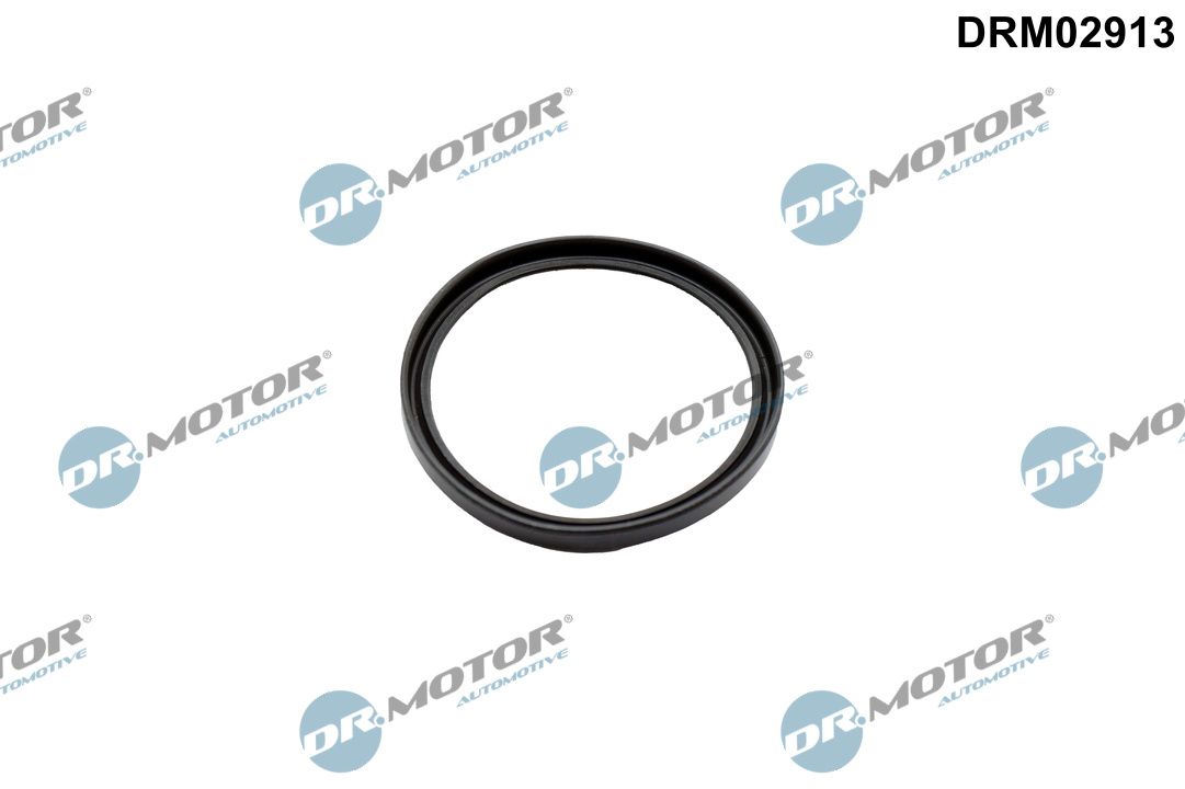 Dr.Motor Automotive DRM02913 Dichtring, Ladeluftschlauch