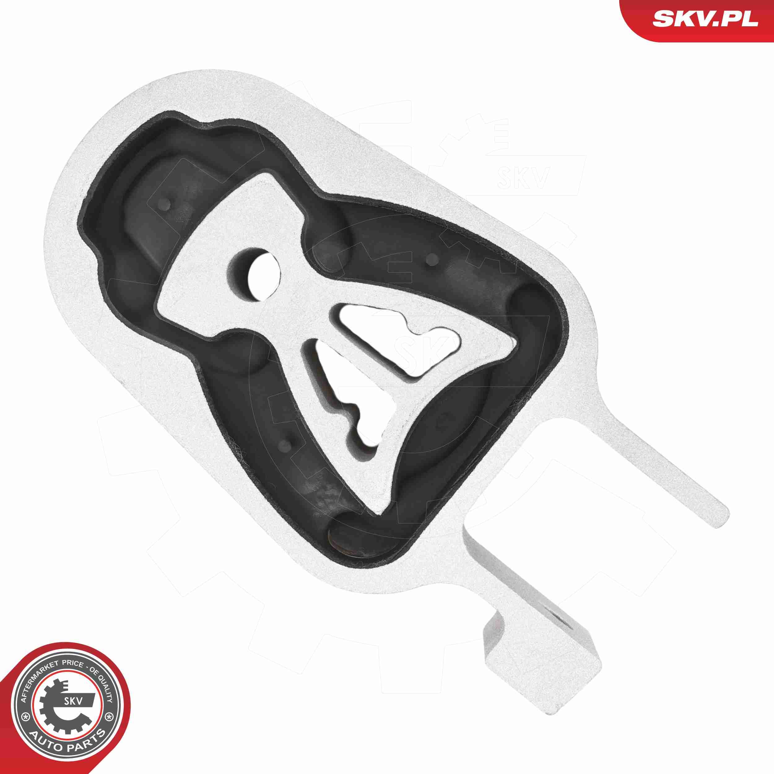 ESEN SKV 75SKV025 - Lagerung, Motor