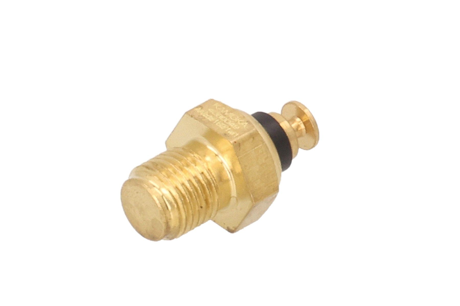 Sensor, Kühlmitteltemperatur