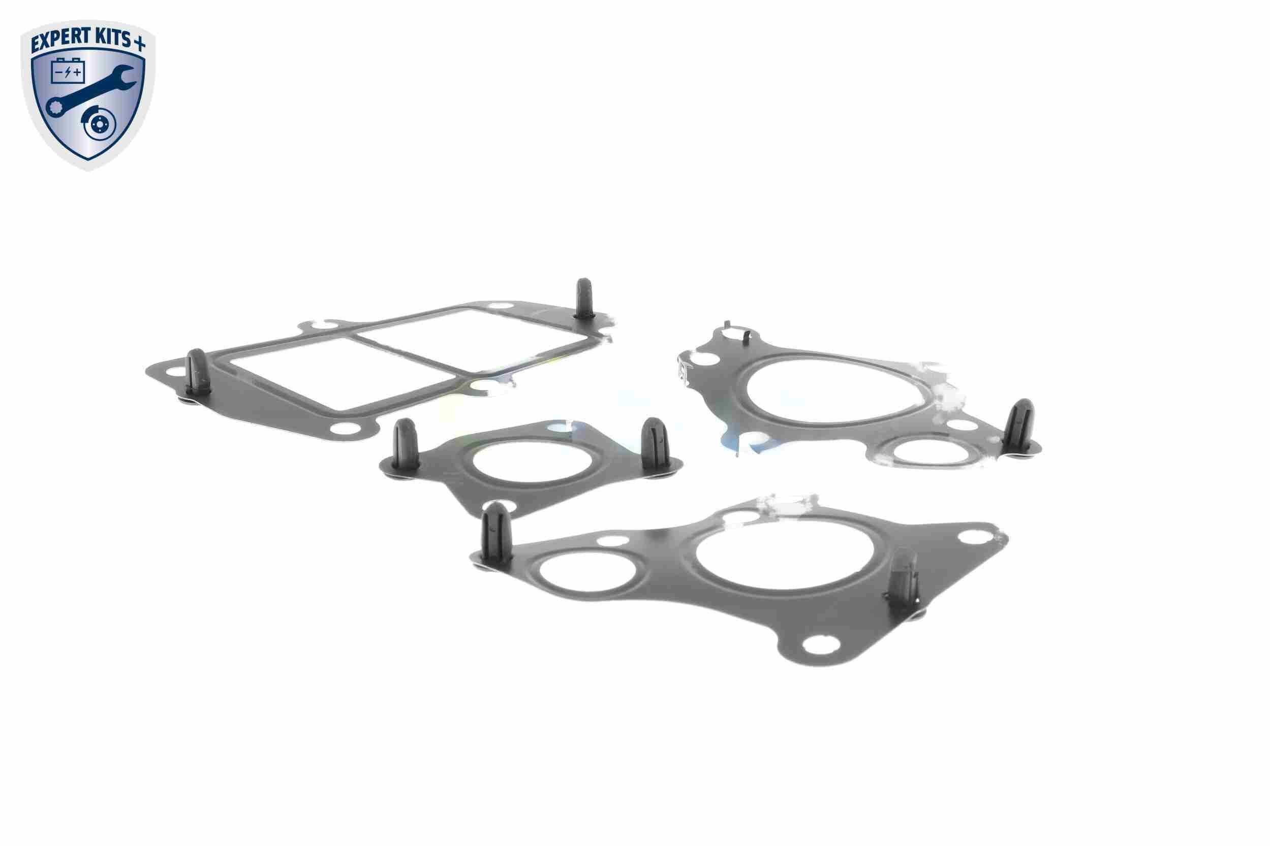 Dichtungssatz, AGR-System