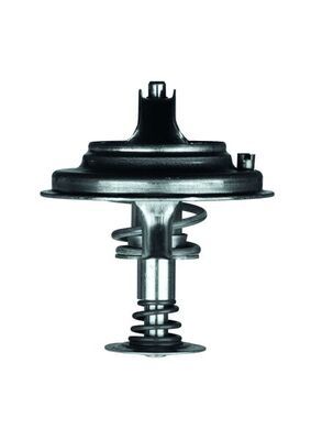 Thermostat, Kühlmittel