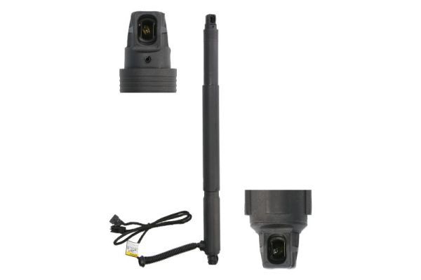 Magnum Technology MGS3124MT - Gasfeder, Einlegeboden (Koffer-/Laderaum)