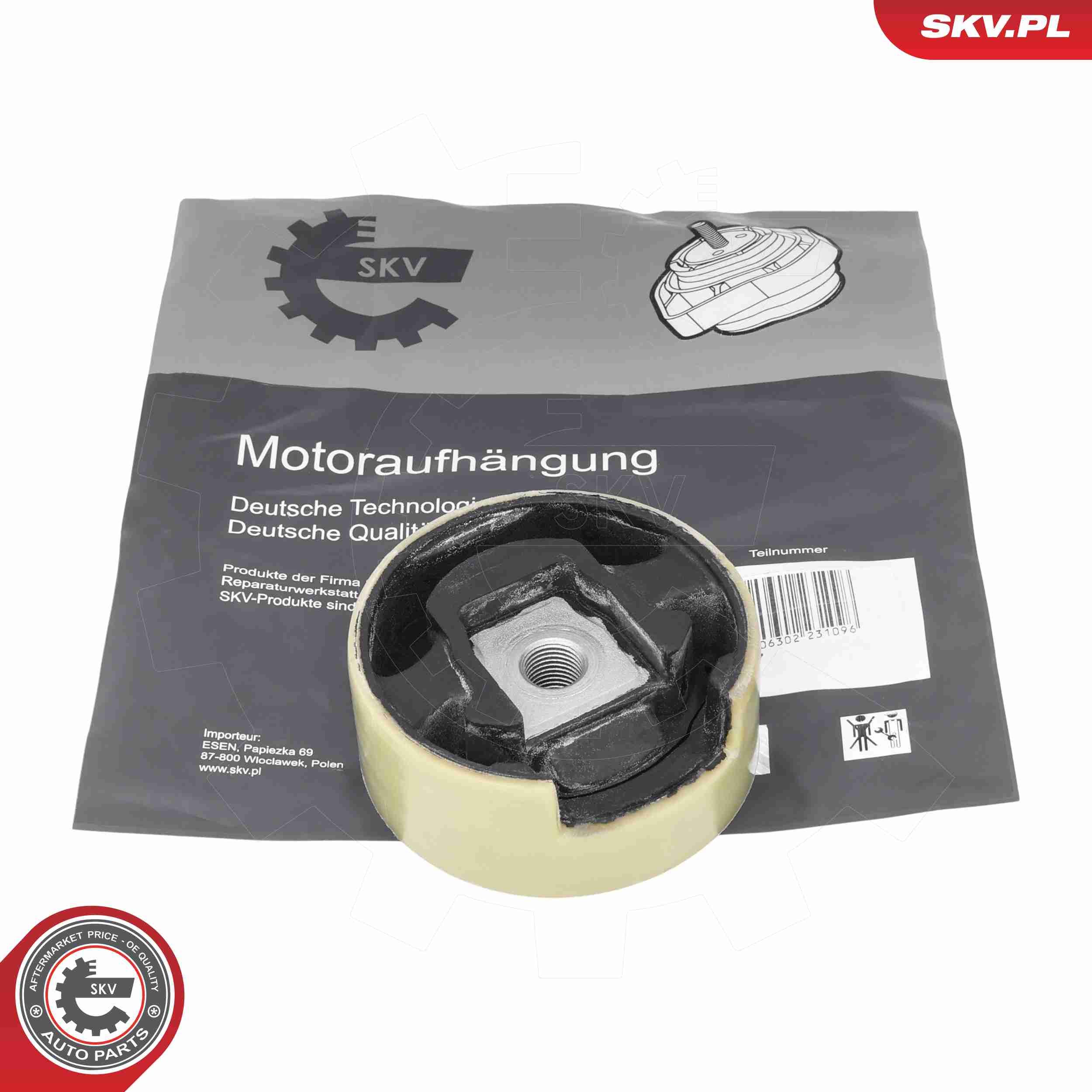 ESEN SKV 75SKV305 - Lagerung, Motor