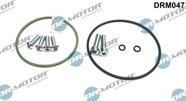 Dr.Motor Automotive DRM047 Repair Set, vacuum pump (braking system)