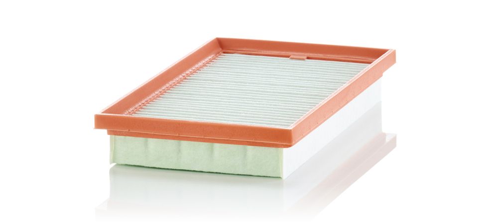 Air Filter C 3233/1