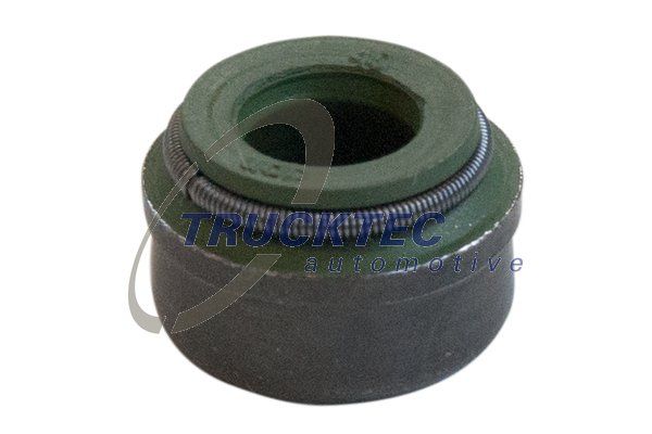 Dichtring, Ventilschaft