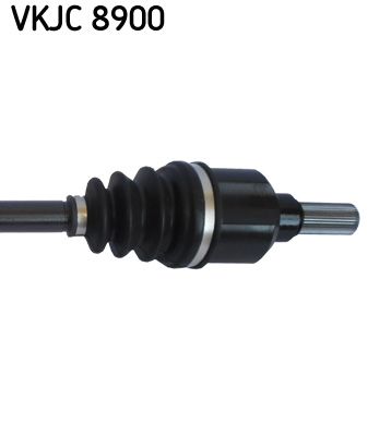 VKJC 8900_3.JPG