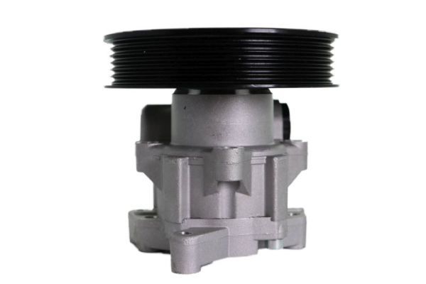 Hydraulikpumpe, Lenkung