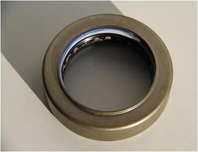 Wellendichtring, Differential