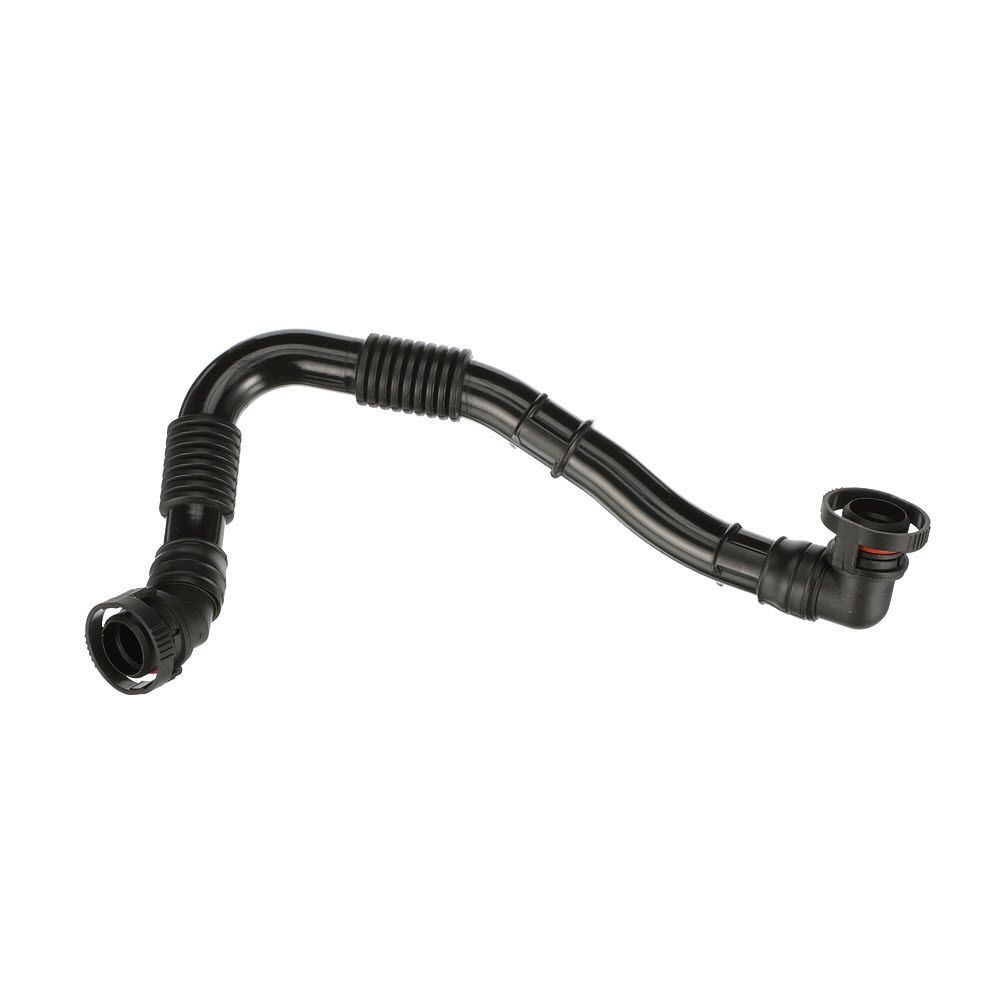 žarna, karterio alsuoklis