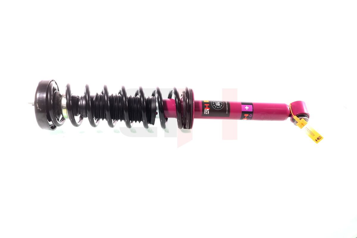 GH+331533C01 GH Quick-Strut PRO Gólyaláb
