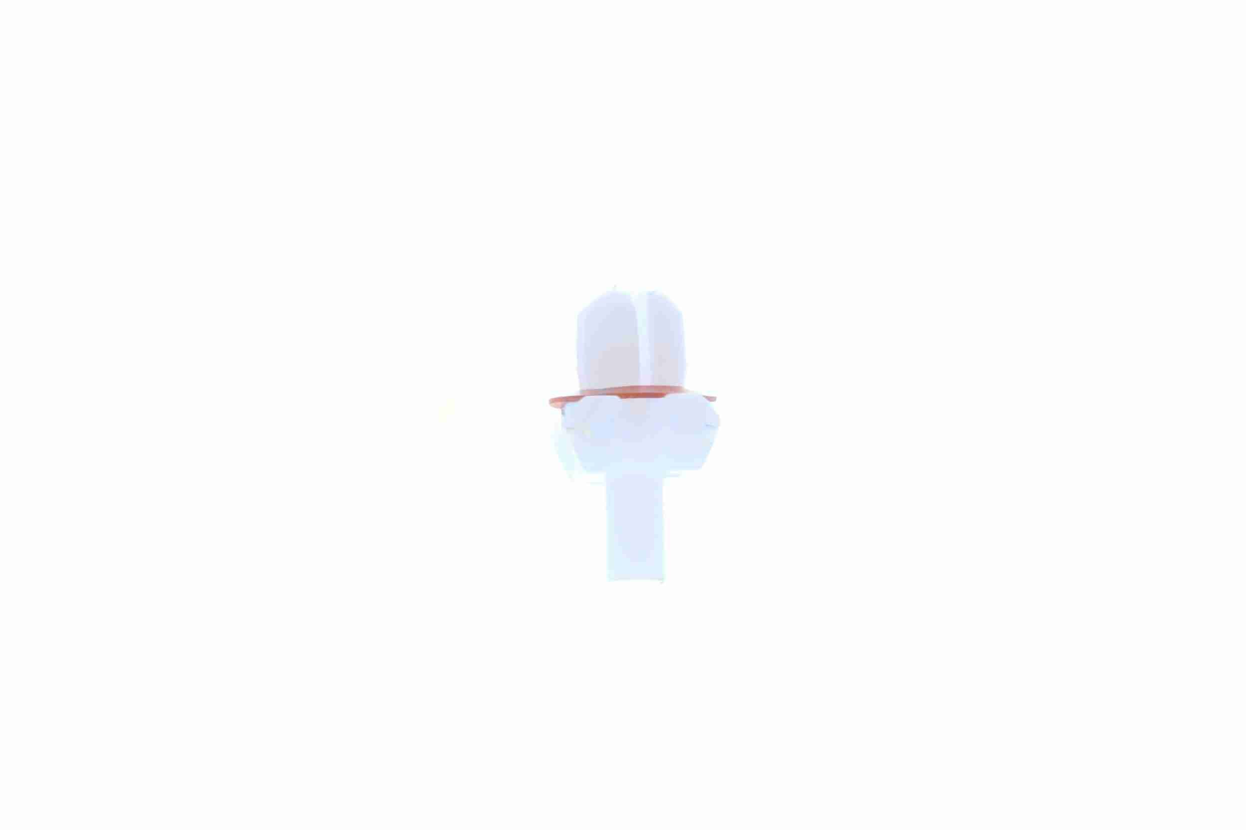 Clip, Zier-/Schutzleiste