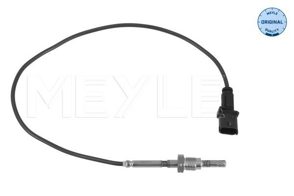 Sensor, Abgastemperatur