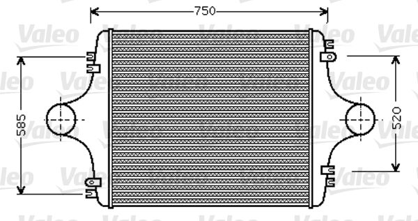 RAS  MAN F2000 01-95-  NET