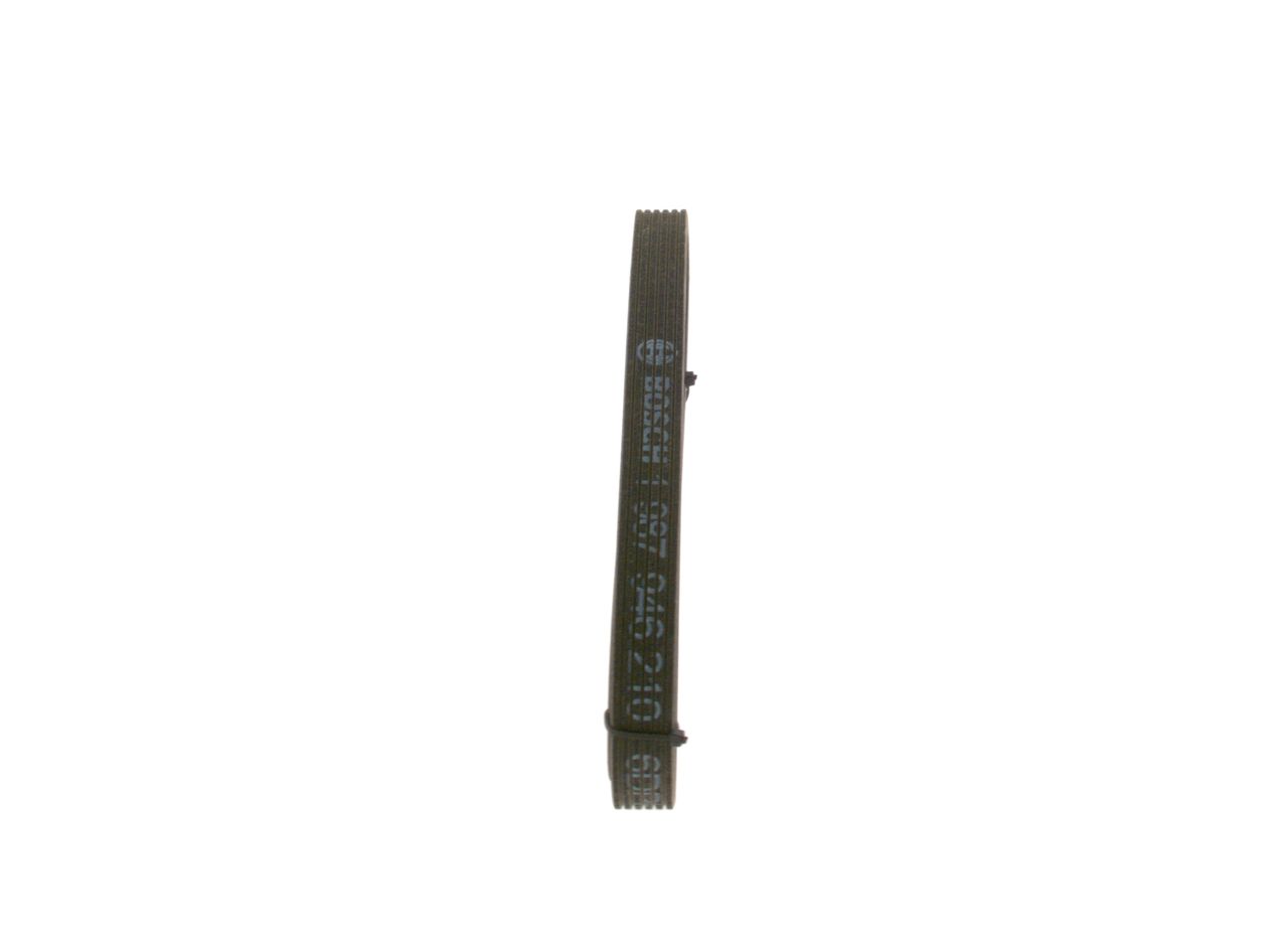 1987946210PH19WHCO0000.JPG