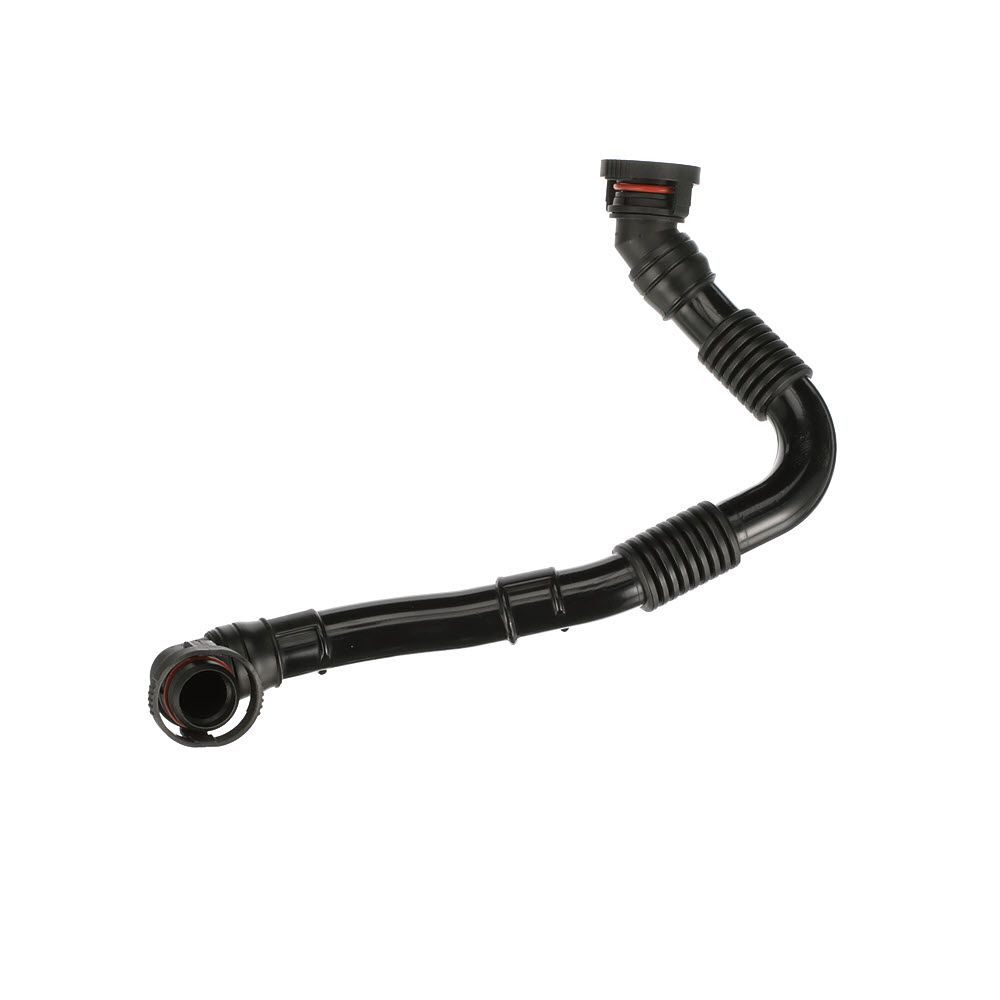 žarna, karterio alsuoklis