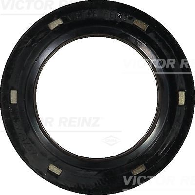 Shaft Seal, crankshaft 81-35035-00