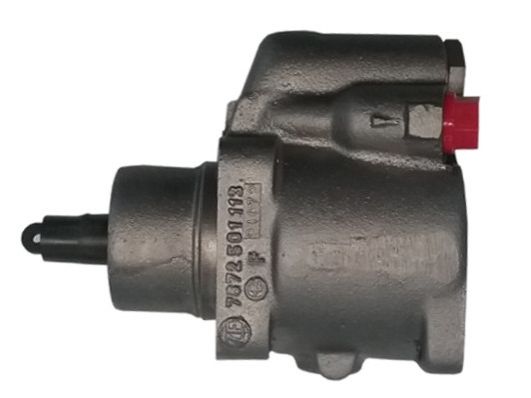 Hydraulikpumpe, Lenkung