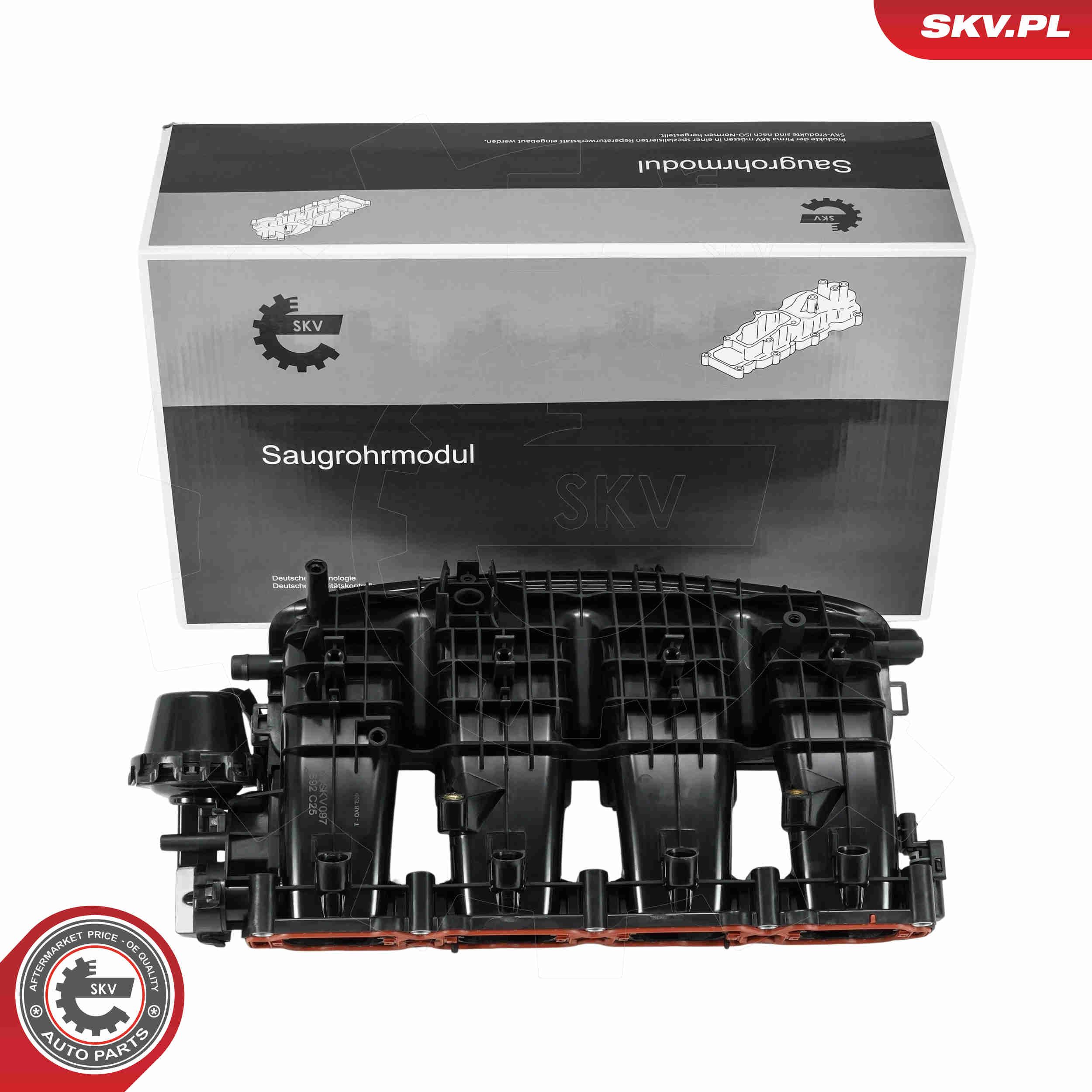 ESEN SKV 49SKV097 - Saugrohrmodul