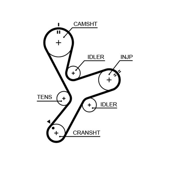 COURROIE DISTRIBUTION