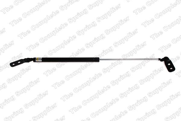 Gasfeder, Koffer-/Laderaum