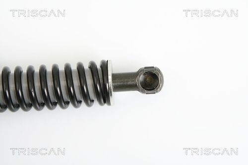 871029264_3.JPG