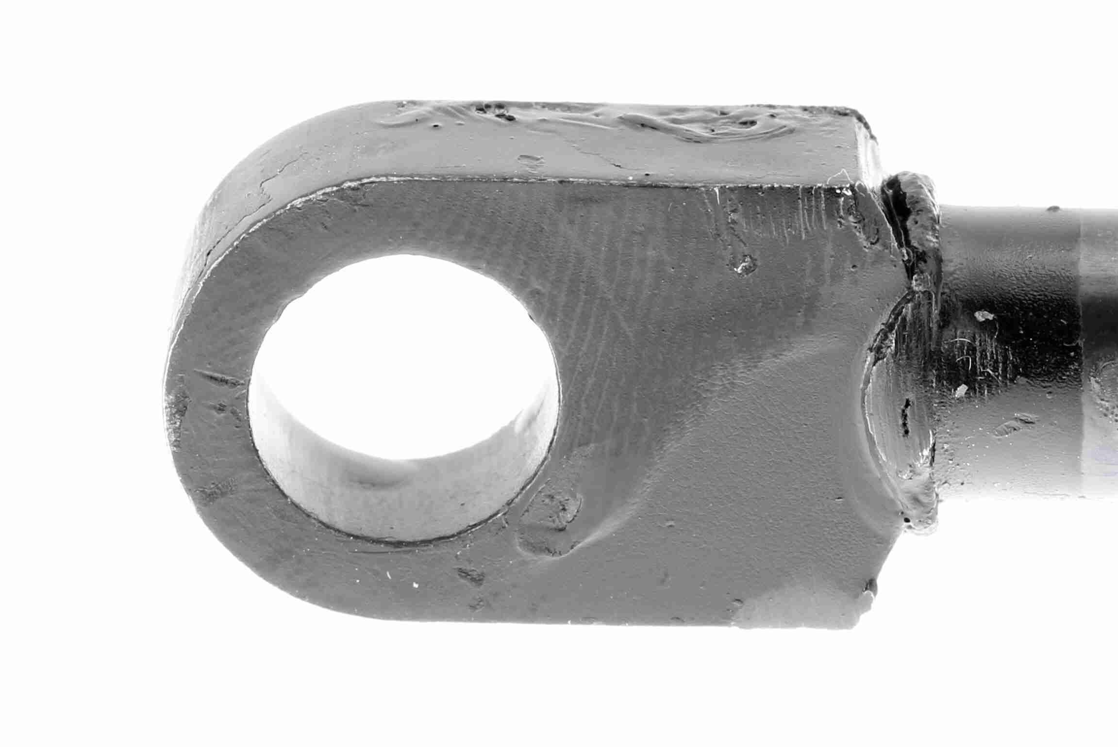 Gasfeder, Koffer-/Laderaum