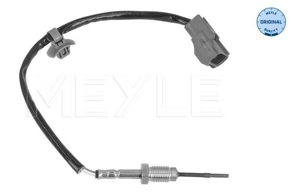 Sensor, Abgastemperatur