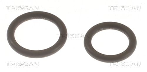 TRISCAN 596-1002 - Dichtungssatz, Einspritzd&uuml;se