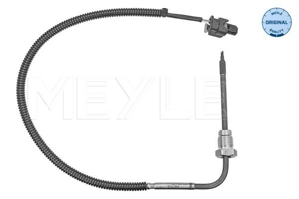 Sensor, Abgastemperatur Sensor, Abgastemperatur