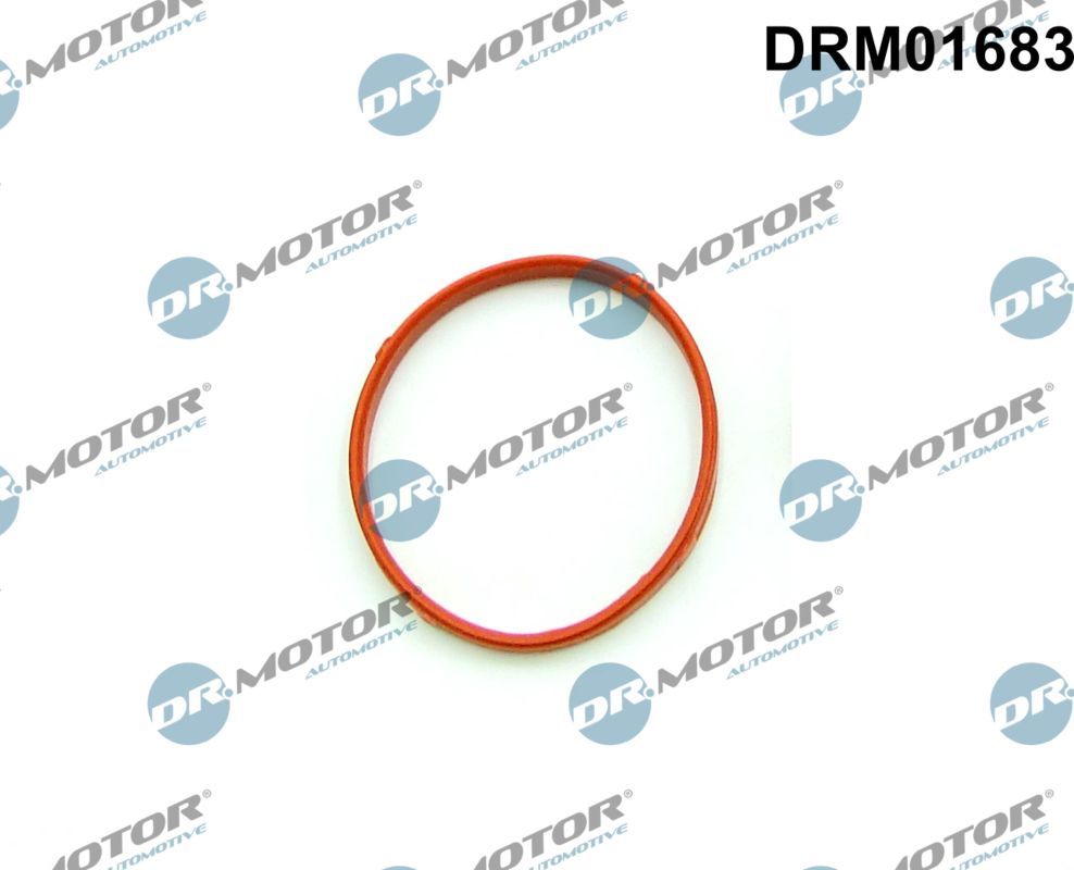 drm_drm01683_wm_01.JPG