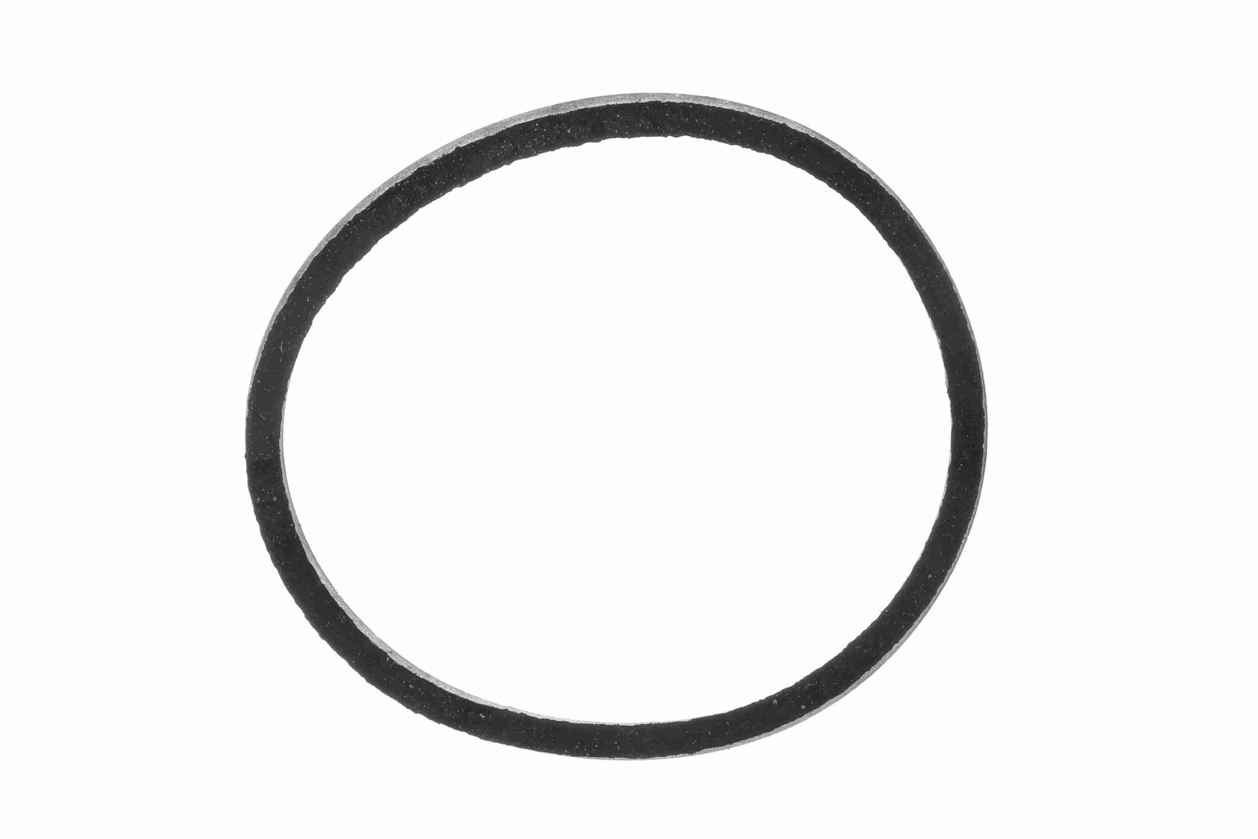 Dichtung, Thermostat