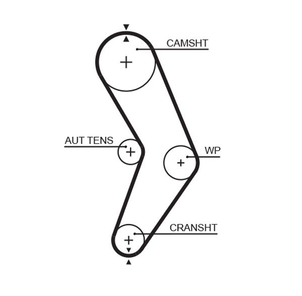 Timing Belt 5662XS