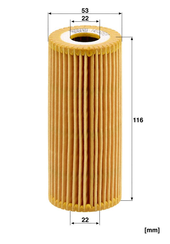 alyvos filtras