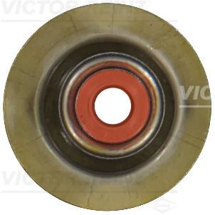 Dichtring, Ventilschaft