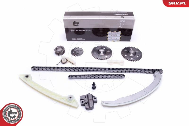 Timing Chain Kit 21SKV231