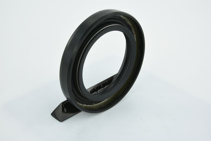 sandariklis, kardaninis velenas