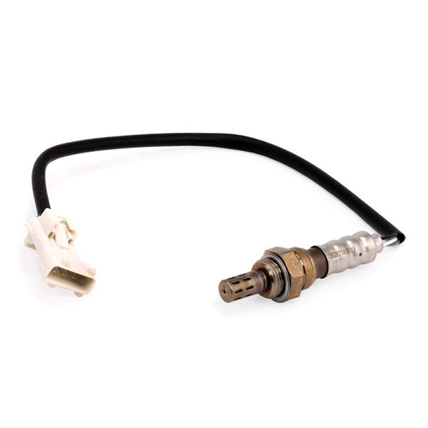 13628718_341.JPG