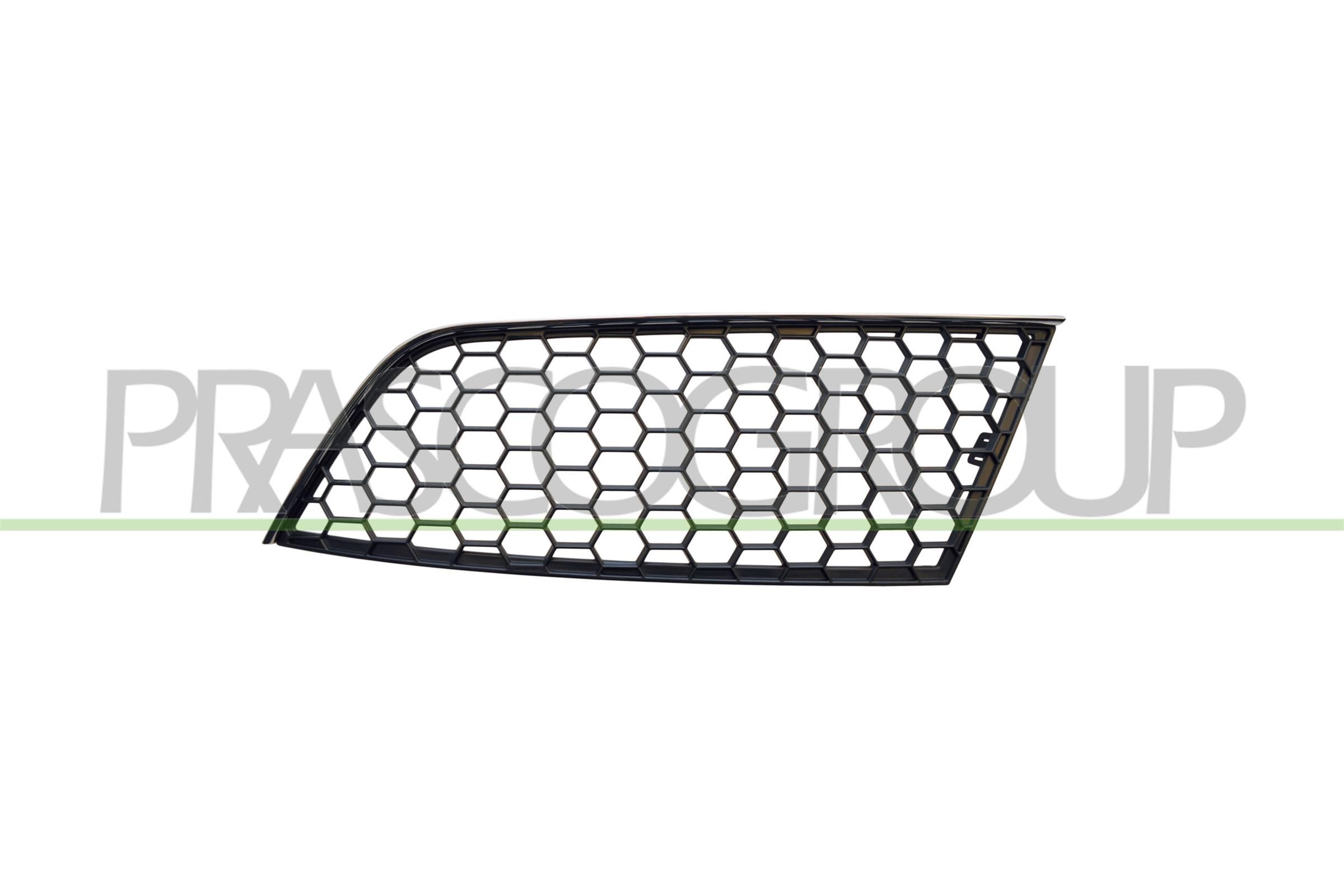 L&uuml;ftungsgitter, Sto&szlig;f&auml;nger