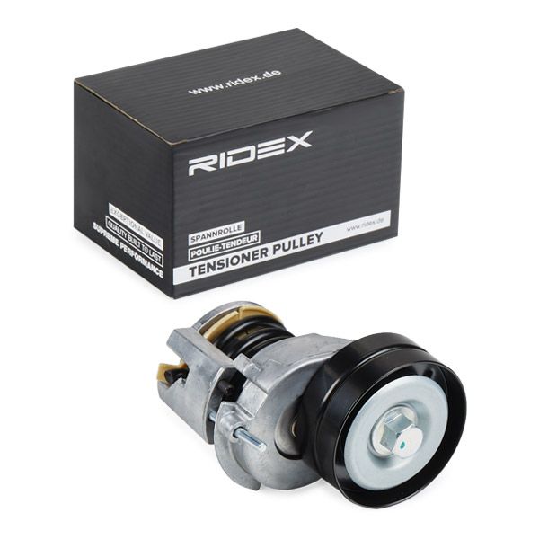 RIDEX 541V0012 Tensioner Lever, V-ribbed belt