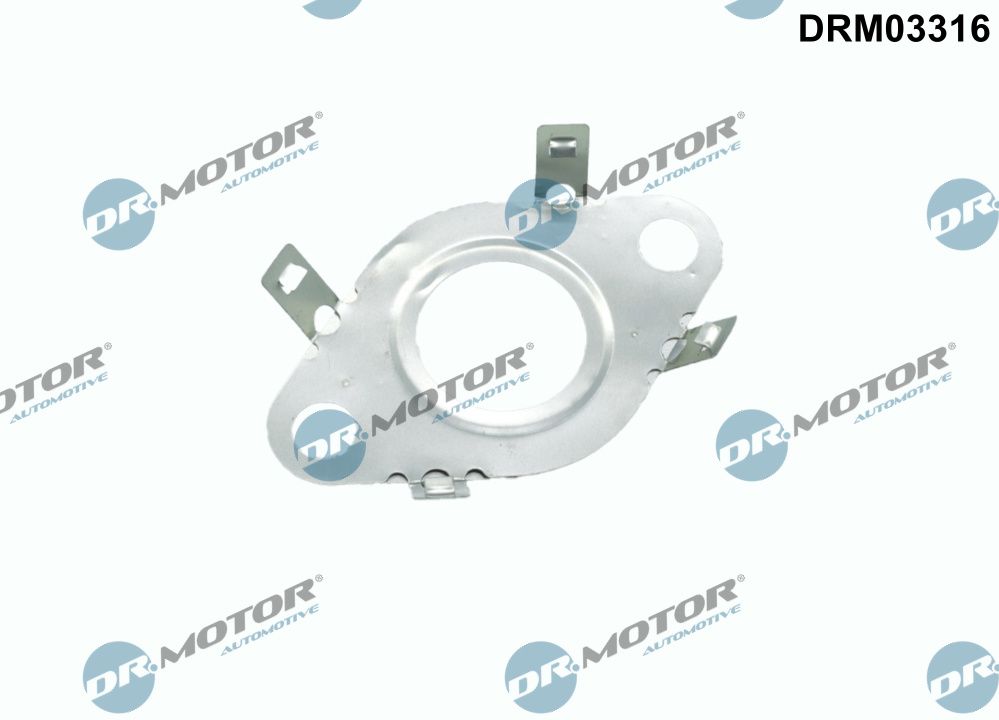 Dr.Motor Automotive DRM03316 - Dichtung, Leitung AGR-Ventil