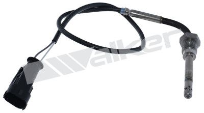 Sensor, de temperatura de gas de escape